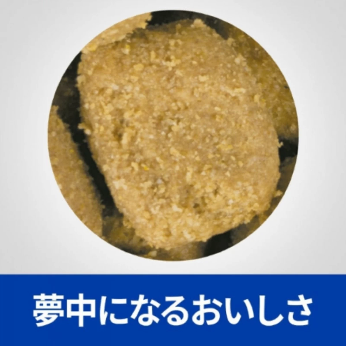 犬用t/d(1kg)