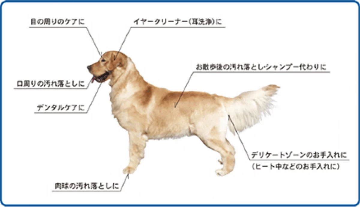 Pet-Cool BodyCareスプレー	300ml